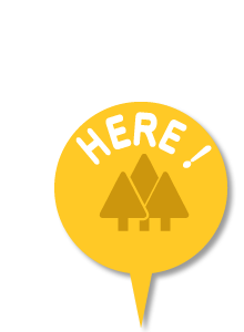 Here